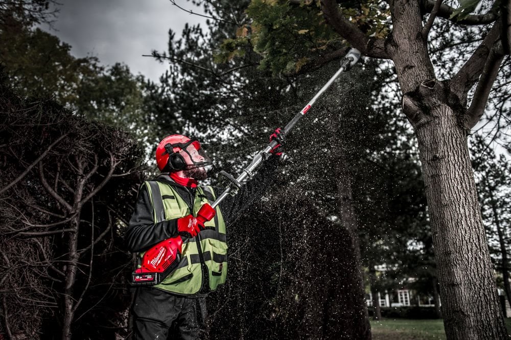 Tree Work