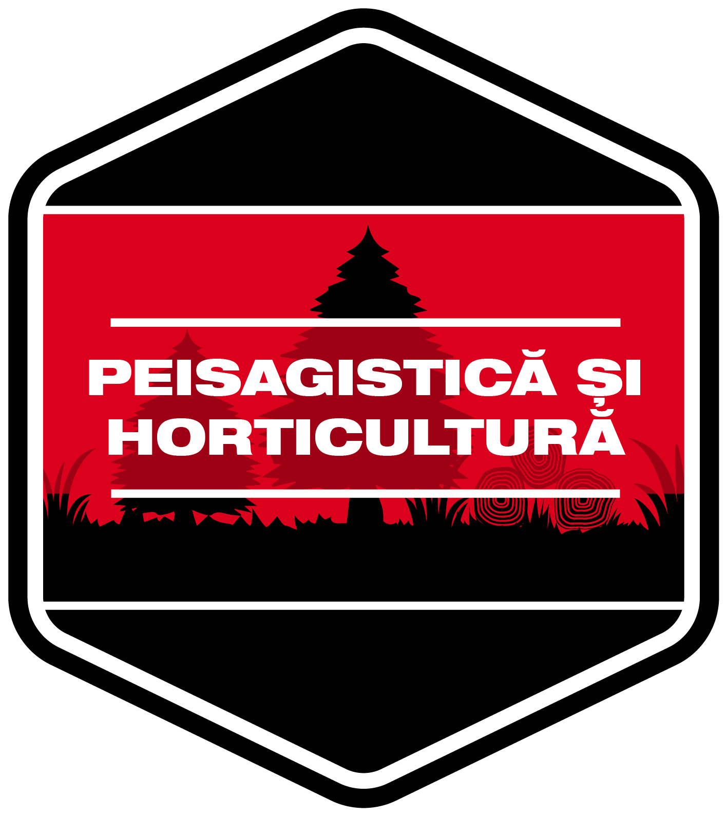 Scule de mână și curele